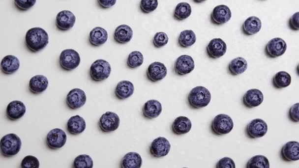 Fresh Blueberry Chaotic Position White Background Rotation — Stock Video