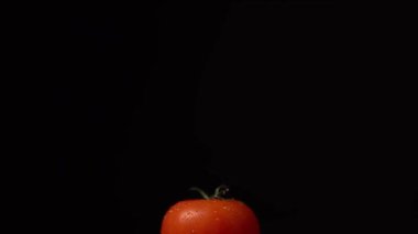 Washed tomatoes for making salad. Front view. Black background