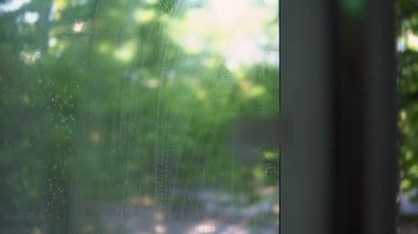 Temizlik işçisi cam temizleme aletleriyle pencereleri yıkıyor. Arka planda bir park.