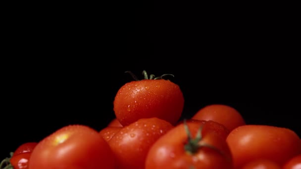 Bunch Washed Fresh Red Tomatoes — Video Stock