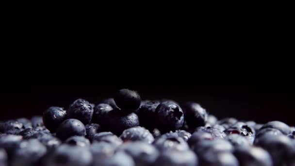 Fresh Washed Delicious Blueberry Black Background Close — Stockvideo