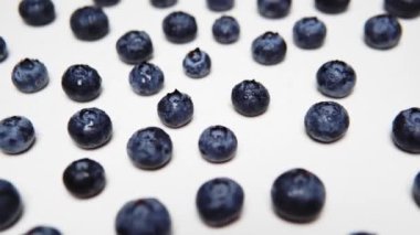The fresh washed delicious blueberry.