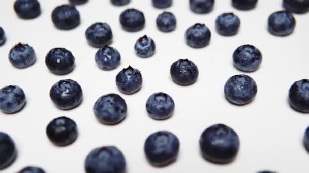 Fresh Washed Delicious Blueberry — Stockvideo