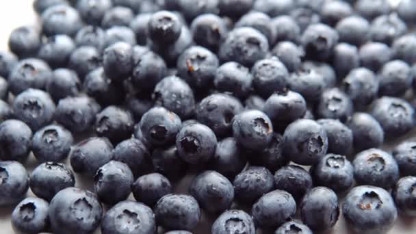 Pile Ripe Juicy Blueberry Fresh Berries — Video