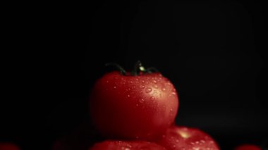 Olgun taze domateslere su damlaları. Domates yıkıyorum..