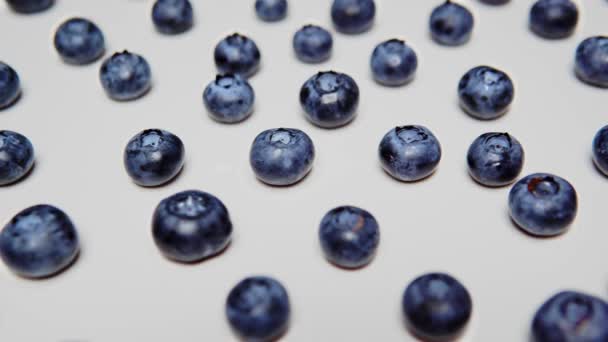 Fresh Washed Delicious Blueberry Black Background Close — Video Stock