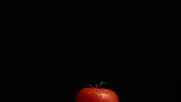 Fresh Washed Red Tomatoes Black Background Front View Slow Rotation — стоковое видео