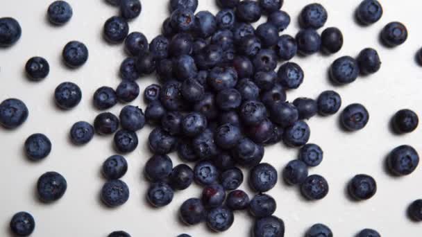 Lot Fresh Juicy Blueberries White Surface — Video