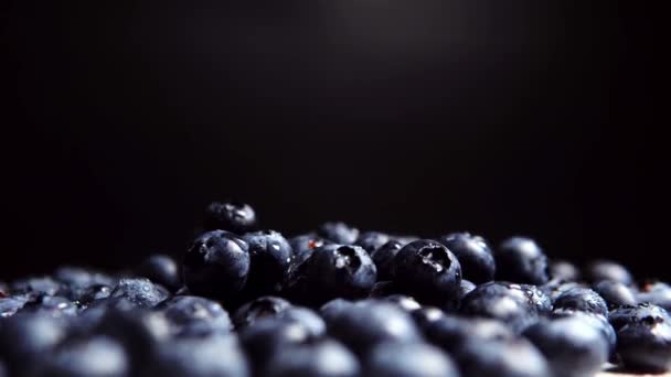 Handful Ripe Fresh Juicy Blueberry Artificial Light Black Background — Stockvideo