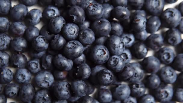 Many Ripe Juicy Blueberry Fresh Berries — Vídeo de stock