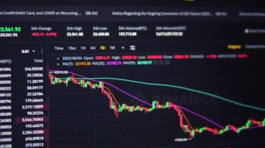 Binance cryptocurrency market. Price chart. Mykolaiv, Ukraine, August 05 2022. 