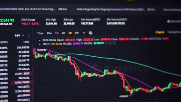 Binance Cryptocurrency Market Price Chart Mykolaiv Ukraine August 2022 — Video