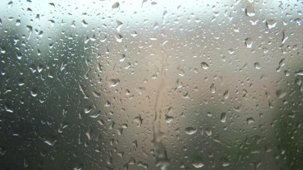 Ομιχλώδες Παράθυρο Λόγω Βροχής Έξω Ταλαντευόμενο Κλαδί Πτώση Σταγόνων Βροχής — Αρχείο Βίντεο