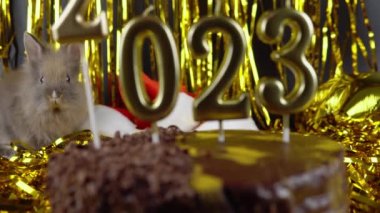 Gray rabbit like a symbol of 2023 year. New Year. Chocolate cake with gold candles.