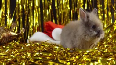 Gray rabbit like a symbol of 2023 year. New Year. Bunny in the gold garland.