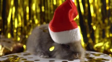 Gray little rabbit in Santas hat on 2023 New Year with gold garland on the background.