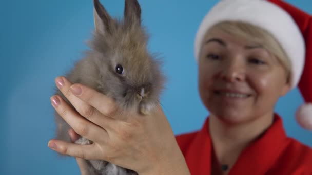 Erwachsene Blonde Frau Hält Graues Kaninchen Den Armen — Stockvideo
