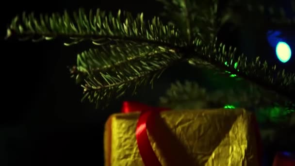Las Ramas Del Árbol Navidad Con Bokeh Cerca Los Regalos — Vídeos de Stock