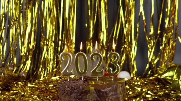 Rabbit Playing Gold Tinsel Celebration 2023 New Year — Stok video