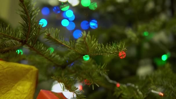 Cadeaus Voor Nieuwjaarsvakantie Met Dennenboom Achtergrond — Stockvideo