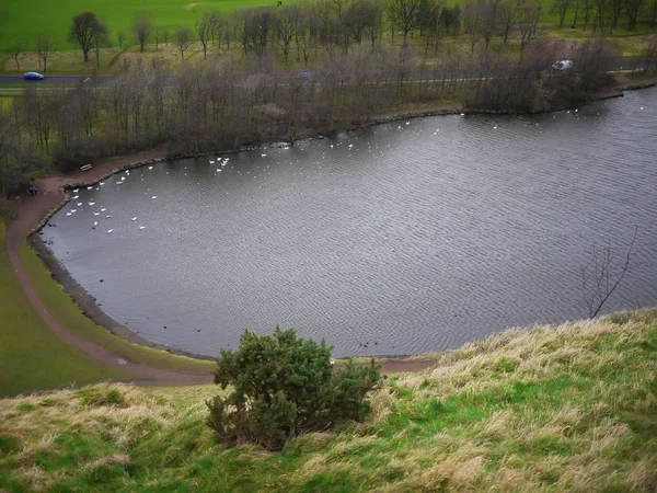 Parc avec lac à Édimbourg , — Photo