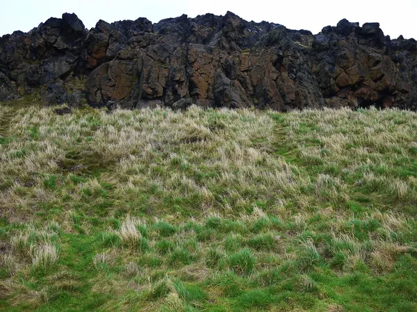 Textuur van gras en montain — Stockfoto