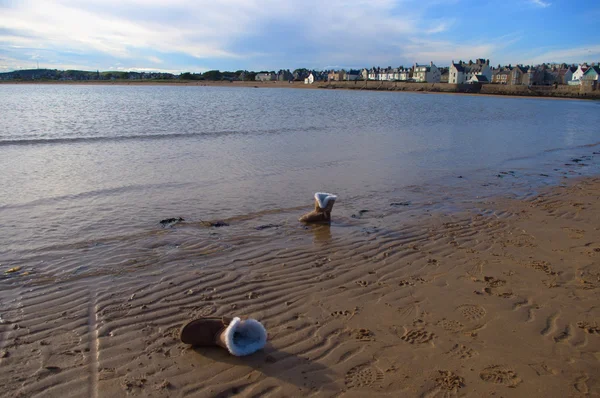 İskoçya'da bay, plaj boş — Stok fotoğraf
