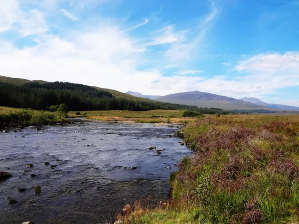 Skotske høyland – stockfoto