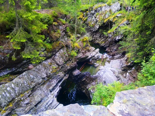 Fluss tief im Bergwald. — Stockfoto