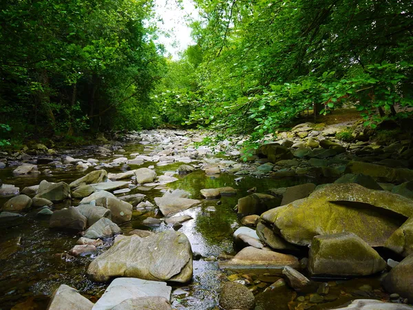 River deep in mountain forest. — Stock Photo, Image