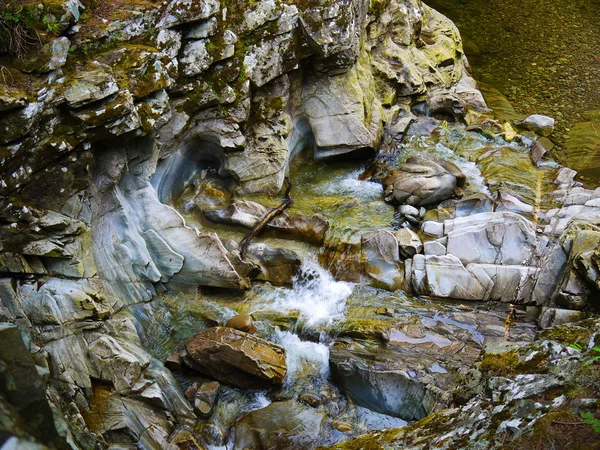 Fluss tief im Bergwald. — Stockfoto