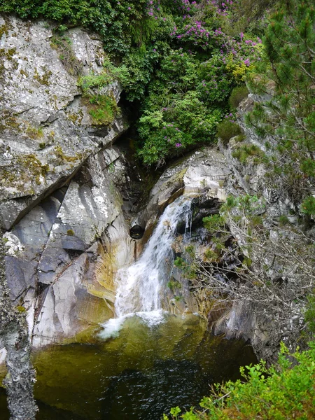Fluss tief im Bergwald. — Stockfoto