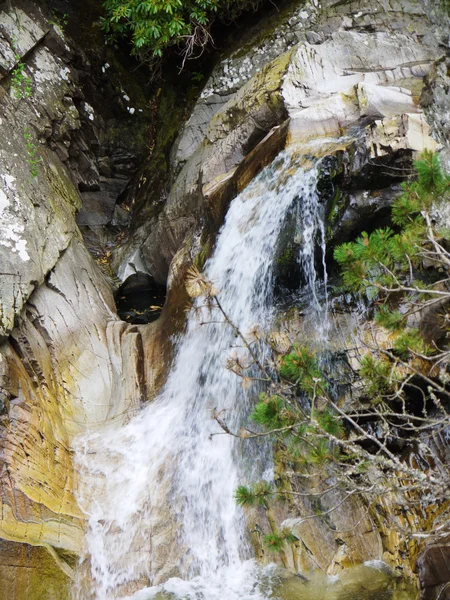 Fluss tief im Bergwald. — Stockfoto