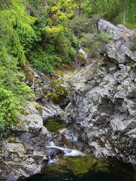 Fluss tief im Bergwald. — Stockfoto