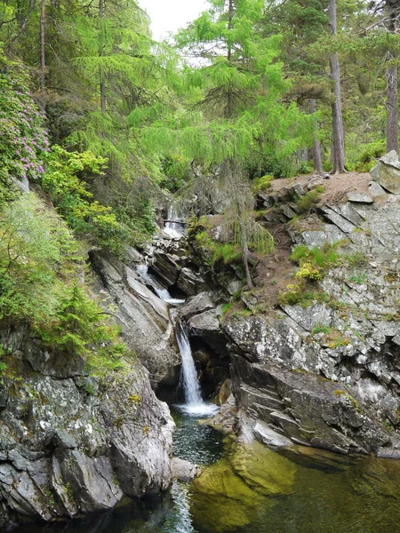 Fluss tief im Bergwald. — Stockfoto