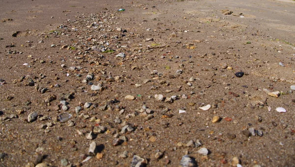 Βαλτική αμμουδιά εσωτερικη — Φωτογραφία Αρχείου