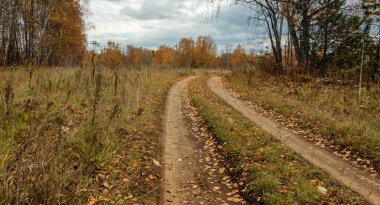Sonbahar ormanı bulutlu gökyüzünün arka planına karşı. Fotoğraf Rusya 'nın Perm bölgesinin Kungurskiy bölgesinde çekildi..