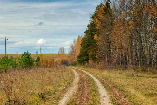 Sonbahar ormanı bulutlu gökyüzünün arka planına karşı. Fotoğraf Rusya 'nın Perm bölgesinin Kungurskiy bölgesinde çekildi..