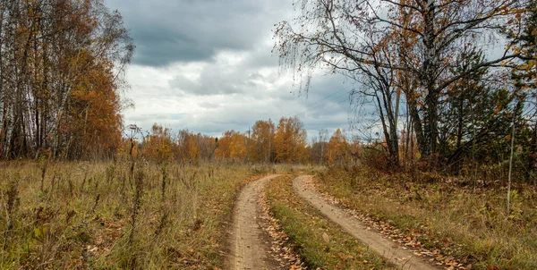 Podzimní Les Pozadí Zatažené Oblohy Fotografie Byla Pořízena Okrese Kungurskij — Stock fotografie