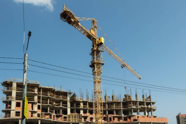 Turna ve yeni ev inşaatı.