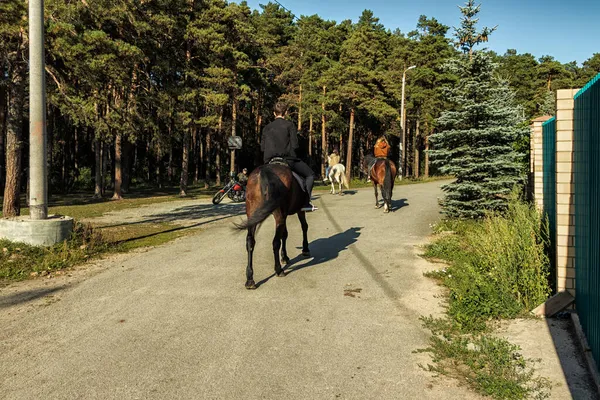 A group of horse riders gallops along the road. — Stock Photo, Image