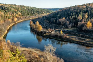Nehrin manzarası ve kıyıda büyüyen orman manzarası..