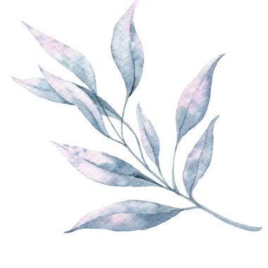 Okaliptüs Dalları Suluboya, Çiçek Çerçeve, Yeşillik Çerçevesi, Çiçek Düzenleme, Yeşil Yaprak Bileşimi