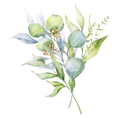 Okaliptüs Dalları Suluboya, Çiçek Çerçeve, Yeşillik Çerçevesi, Çiçek Düzenleme, Yeşil Yaprak Bileşimi