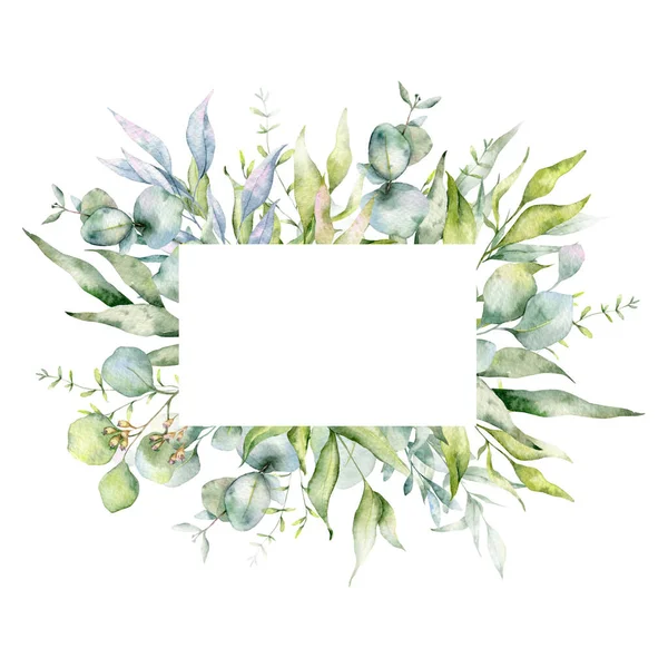 Ramos Eucaliptos Aquarela Moldura Floral Quadro Verdura Arranjo Floral Composição — Fotografia de Stock