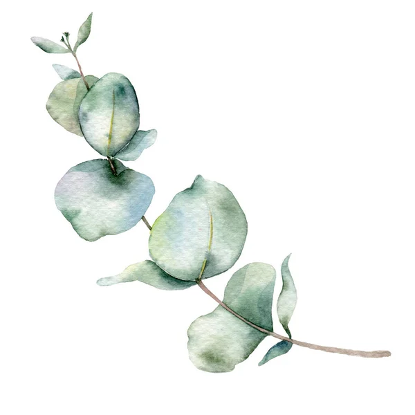 Eukalyptuszweige Aquarell Floral Frame Greenery Frame Floral Arrangement Grüne Blätter — Stockfoto