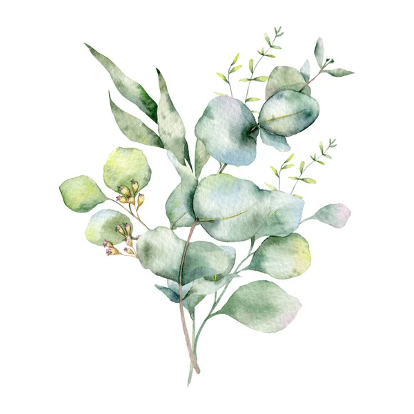 Eucalyptus wreath watercolor Stock Photos, Royalty Free Eucalyptus wreath  watercolor Images