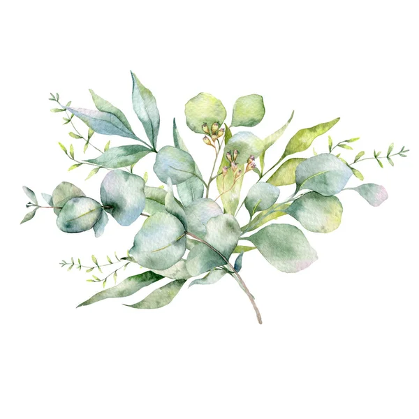 Okaliptüs Dalları Suluboya Çiçek Çerçeve Yeşillik Çerçevesi Çiçek Düzenleme Yeşil — Stok fotoğraf