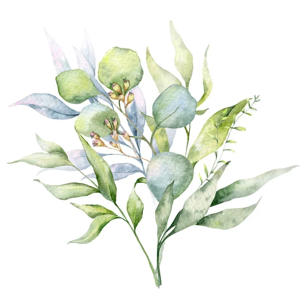 Okaliptüs Dalları Suluboya Çiçek Çerçeve Yeşillik Çerçevesi Çiçek Düzenleme Yeşil — Stok fotoğraf