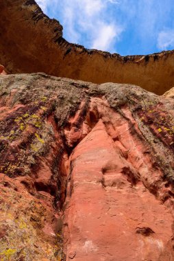 Golden Gate Highlands Ulusal Parkı 'ndaki Mantar Kayası' nın tepesine bakıyorum. Burası Güney Afrika 'nın Özgür Eyaleti' nin popüler Clarens kasabası yakınlarındaki bir doğa koruma alanı..